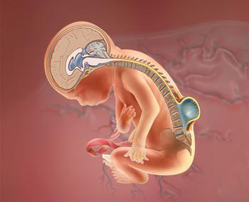 fpay钱包 -轻松支付,放心选择