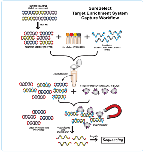 fpay钱包 -轻松支付,放心选择