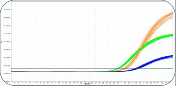 fpay钱包 -轻松支付,放心选择