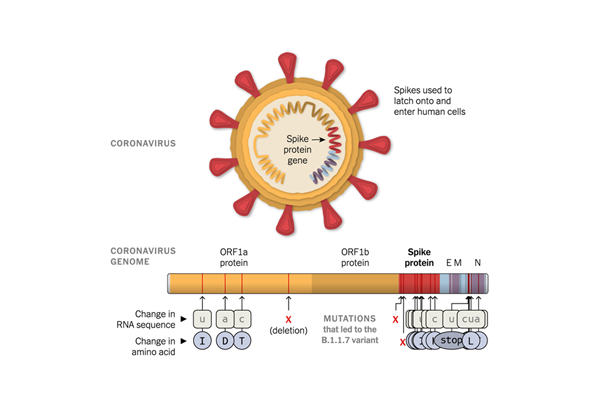 fpay钱包 -轻松支付,放心选择