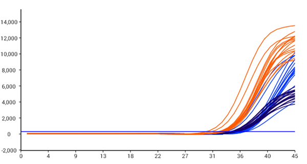 fpay钱包 -轻松支付,放心选择
