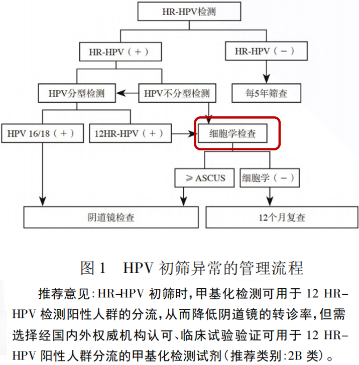 fpay钱包 -轻松支付,放心选择